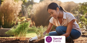 Seasonal Gardening with Blue Bee Garden Design sydnenham
