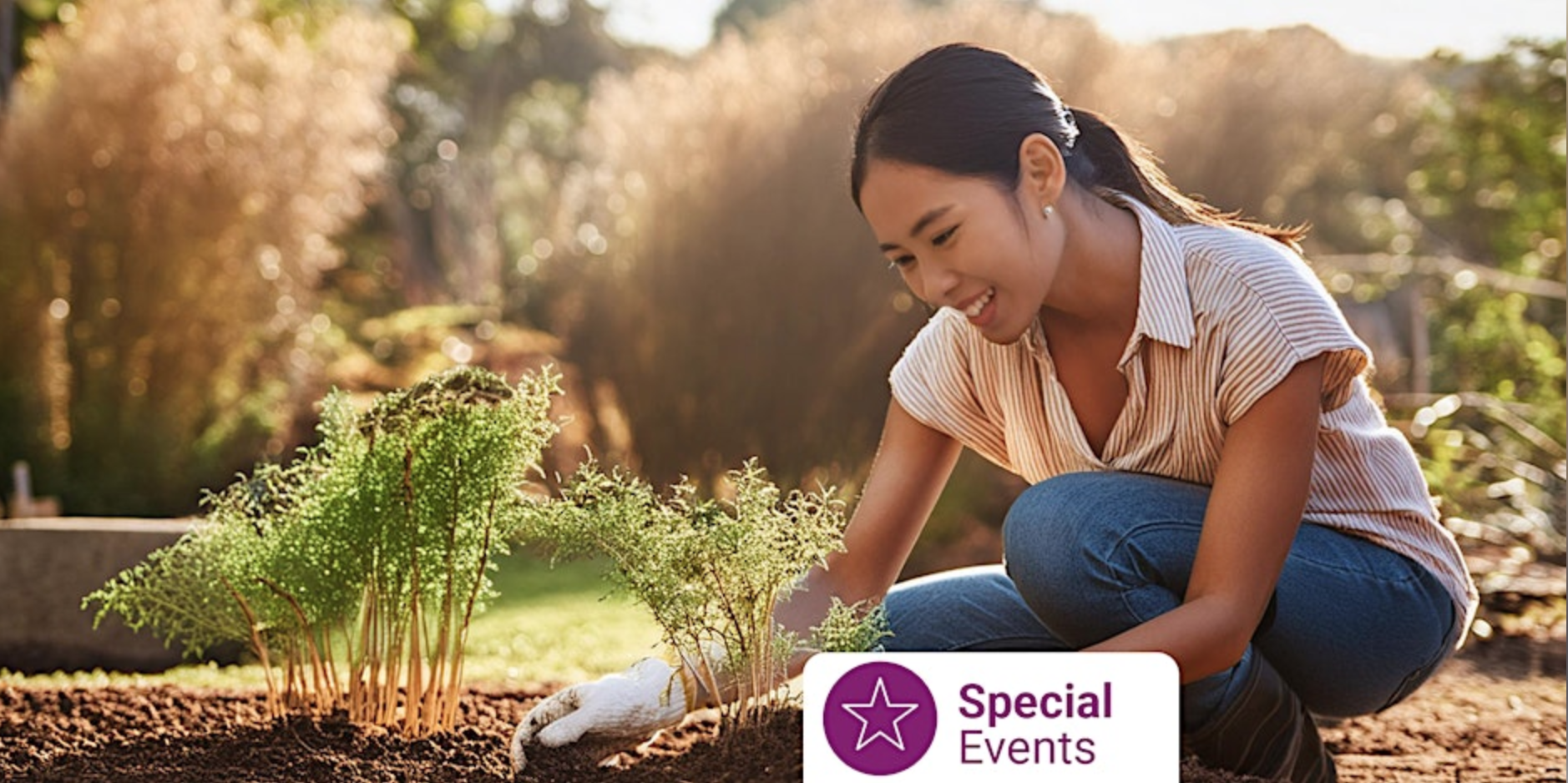 Seasonal Gardening with Blue Bee Garden Design sydnenham