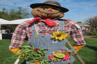 scarecrow competition