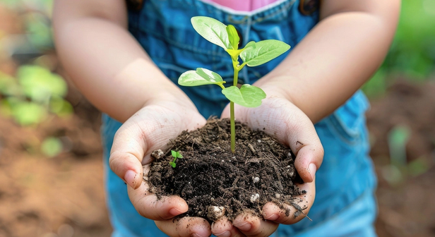 hands and soil