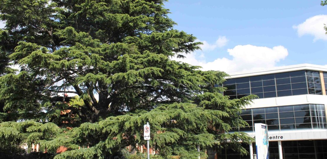 claudine ragheb article horticulture