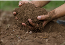 my smart garden restoring healthy soils