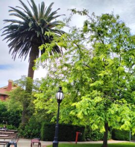 melbourne polytechnic fairfield campus