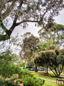 plants of melbourne polytechnic, fairfield campus